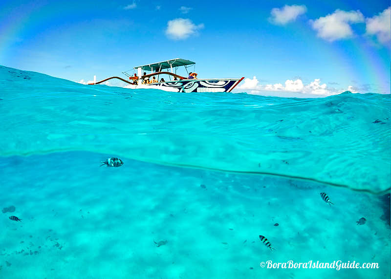 Bora Bora Lagoon Tours: Best tours of the lagoon